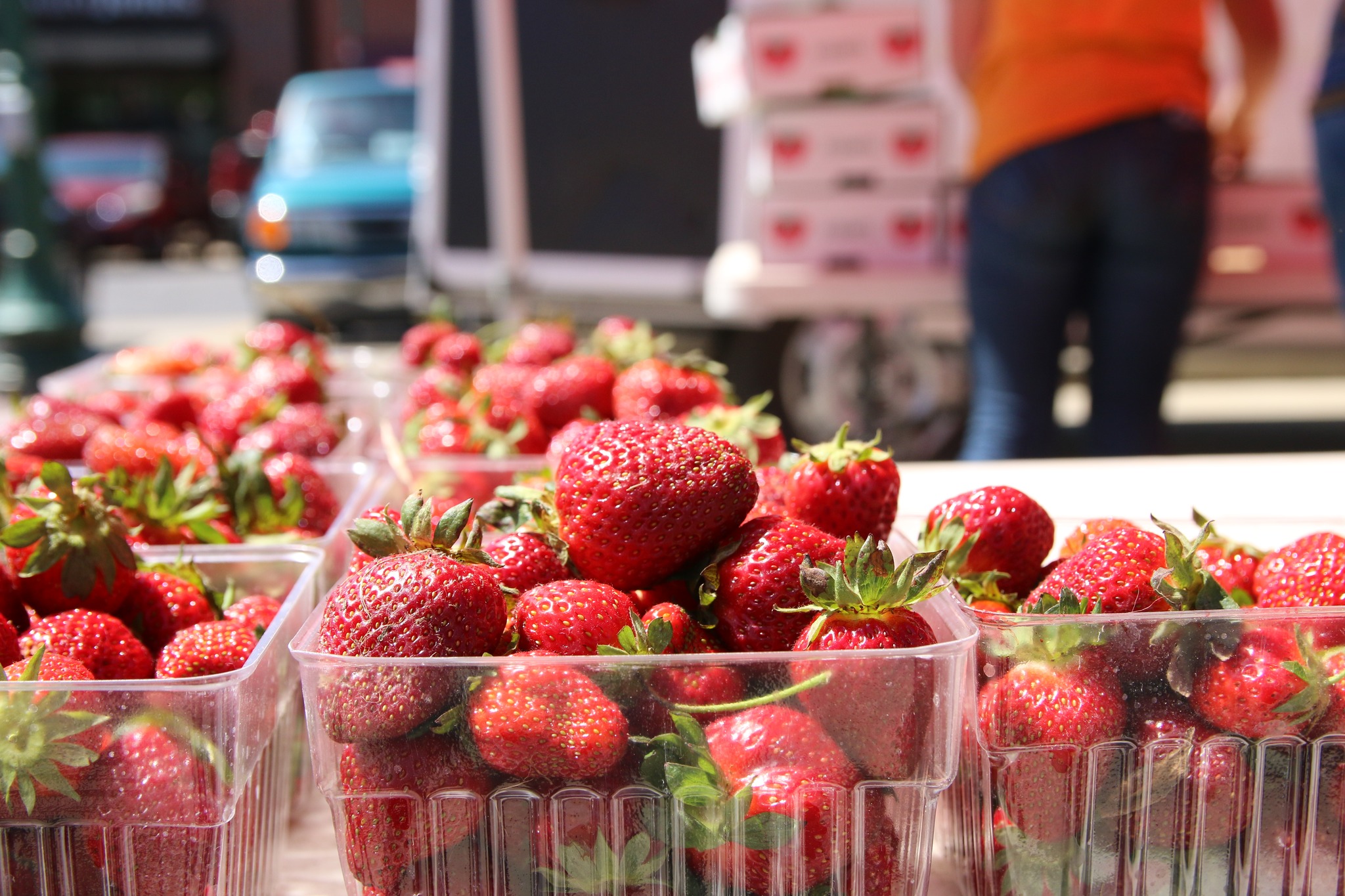 Strawberry Festival